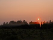 Superior National Forest