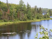 Superior National Forest