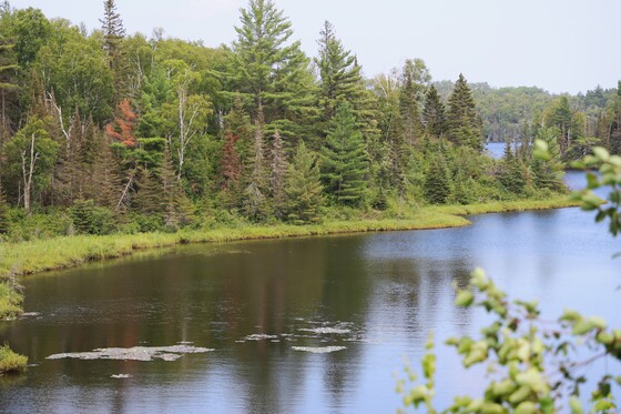 Superior National Forest