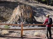Florissant Fossil Beds National Monument