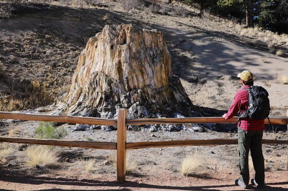 Florissant Fossil Beds National Monument