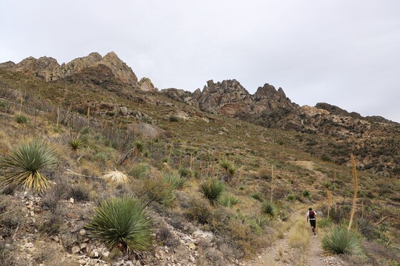 Organ Mountains-Desert Peaks National Monument