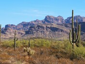 Organ Pipe Cactus National Monument