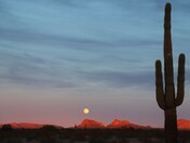 Kofa National Wildlife Refuge