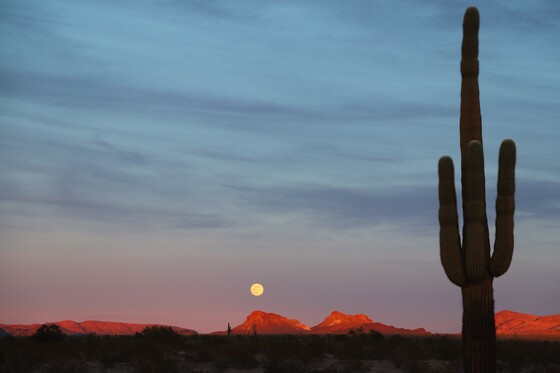 Kofa National Wildlife Refuge