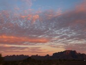 Kofa National Wildlife Refuge