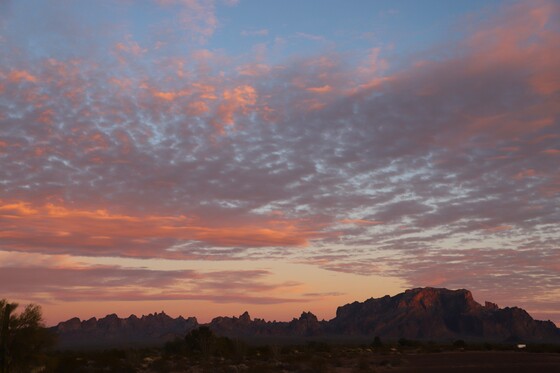 Kofa National Wildlife Refuge