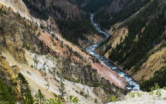 Yellowstone National Park