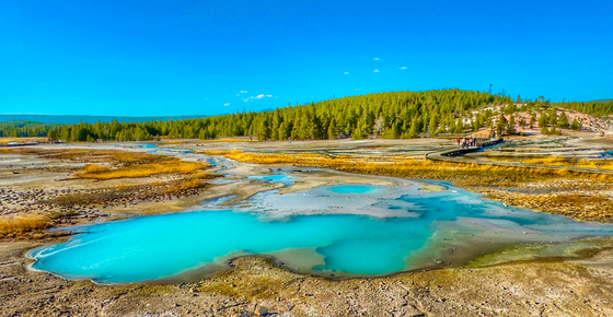 Yellowstone National Park