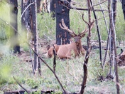 Rocky Mountain National Park