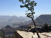 Grand Canyon National Park