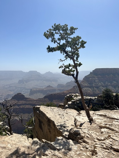 Grand Canyon National Park
