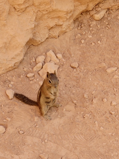 Bryce Canyon National Park