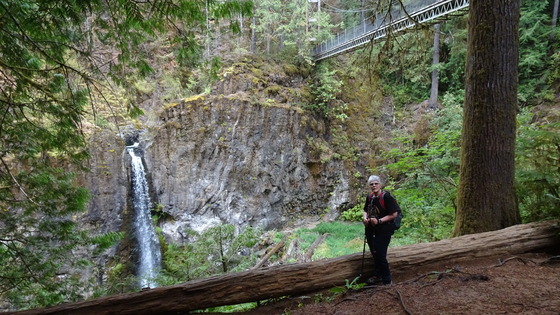 Drift creek falls