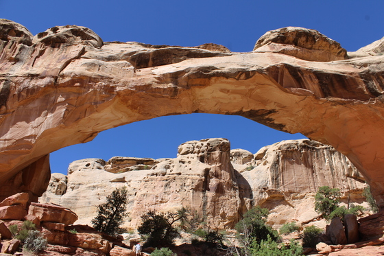Capitol Reef National Park