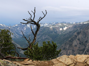 Gallatin National Forest