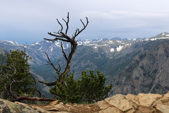 Gallatin National Forest