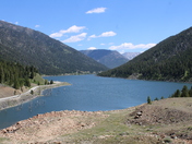 Ashley National Forest