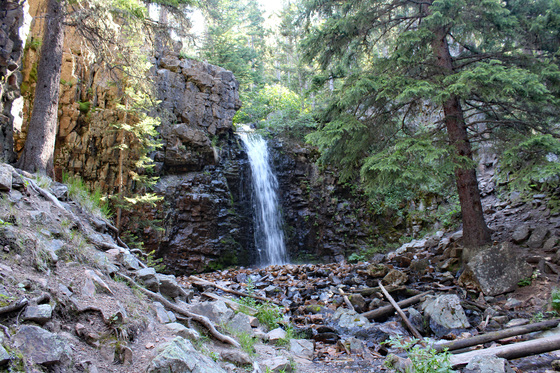 Lewis and Clark National Forest 