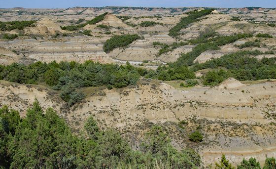 Theodore Roosevelt National Park 