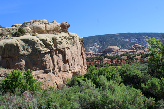 Dinosaur National Monument