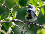 Katmai National Park and Preserve
