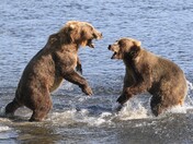 Kodiak National Wildlife Refuge