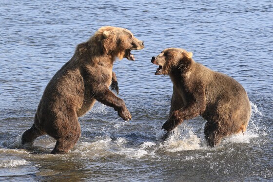 Kodiak National Wildlife Refuge