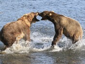 Kodiak National Wildlife Refuge