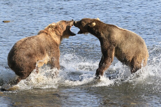 Kodiak National Wildlife Refuge