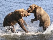 Kodiak National Wildlife Refuge