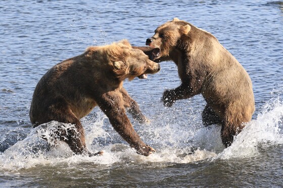 Kodiak National Wildlife Refuge