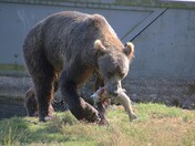 Kodiak National Wildlife Refuge