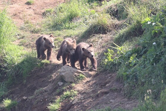 Kodiak National Wildlife Refuge