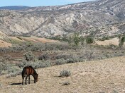 Bighorn National Recreation Area