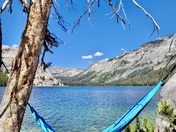 Yosemite National Park