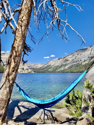 Yosemite National Park