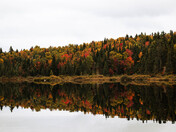 Reflections of Autumn