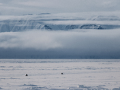 Journey Across the Ice