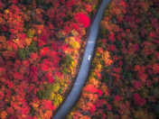 The Road To Autumn