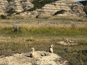 Theodore Roosevelt National Park