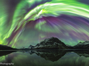 Aurora's Embrace Over Bow Lake
