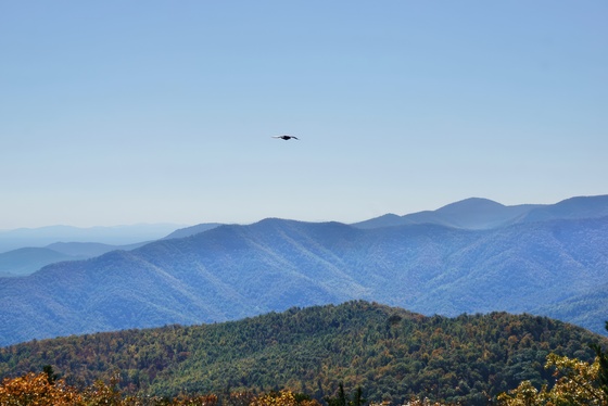 Shenandoah National Park