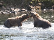 Kodiak National Wildlife Refuge