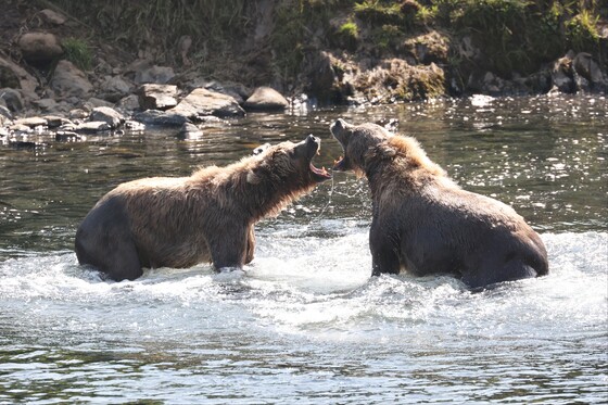 Kodiak National Wildlife Refuge