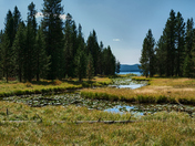 Yellowstone National Park