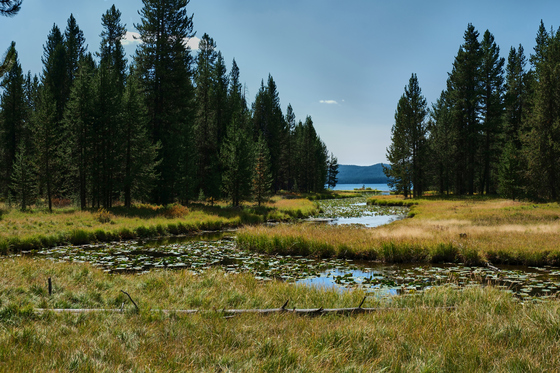 Yellowstone National Park