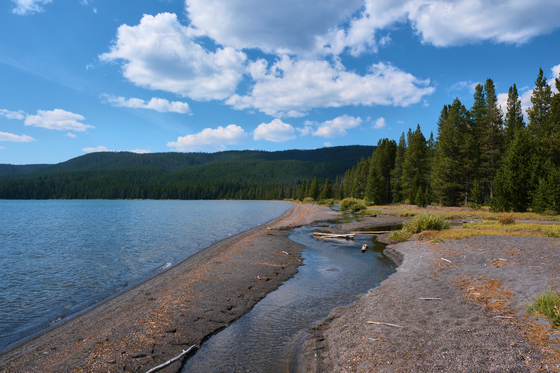 Yellowstone National Park
