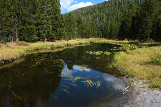 Yellowstone National Park