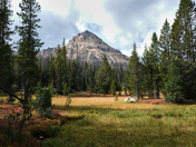 Wasatch National Forest